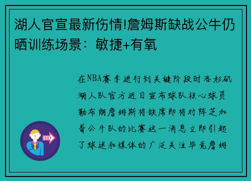 湖人官宣最新伤情!詹姆斯缺战公牛仍晒训练场景：敏捷+有氧